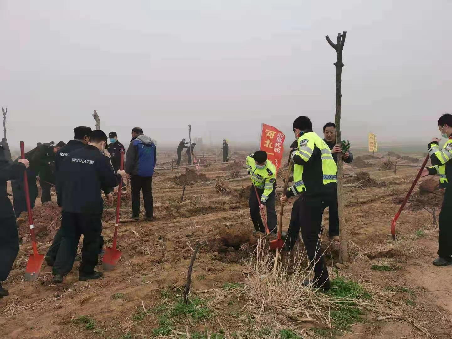 一森公司配合贊皇縣有關單位開展義務植樹活動