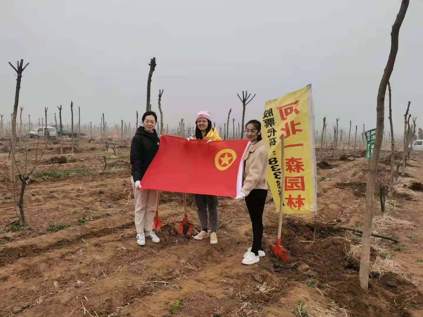 一森公司配合贊皇縣有關單位開展義務植樹活動