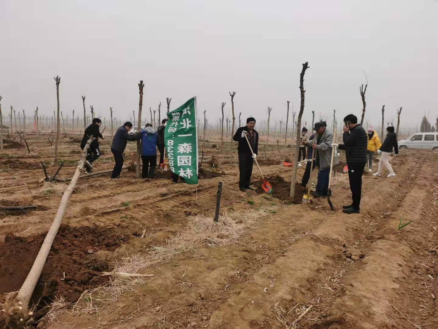 一森公司配合贊皇縣有關單位開展義務植樹活動
